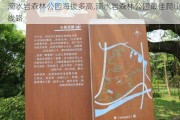 滴水岩森林公园海拔多高,滴水岩森林公园最佳爬山线路