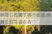 晓港公园属于哪个街道,晓港公园鸟语花香