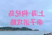 上海到枸杞岛怎么去最方便自驾,上海到枸杞岛旅游攻略