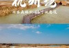 杭州湾湿地公园游玩攻略大全_杭州湾湿地公园游玩攻略