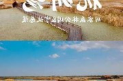 杭州湾湿地公园游玩攻略大全_杭州湾湿地公园游玩攻略