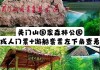 辽宁关门山景区门票价格-辽宁关门山旅游攻略自驾游