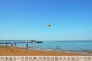 天津海边一日游免费,天津旅游景点大全海边一日游