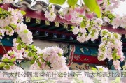 元大都公园海棠花什么时候开,元大都遗址公园海棠花观赏攻略