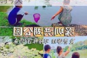 罗湖洪湖公园可以钓鱼吗,罗湖洪湖公园可以钓鱼吗今天