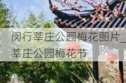 闵行莘庄公园梅花图片_莘庄公园梅花节