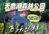 团子掉水里了怎么办_广州天鹿湖森林公园门票