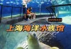 上海海洋水族馆视频_上海海洋水族馆攻略