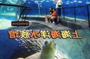 上海海洋水族馆***_上海海洋水族馆攻略