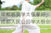 成都哪里学太极拳好_成都人民公园学太极剑