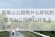 狐尾山公园有什么好玩的_狐尾山公园可以开车上去吗