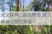 武汉森林公园在哪里,武汉森林公园在那里