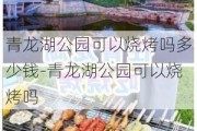 青龙湖公园可以烧烤吗多少钱-青龙湖公园可以烧烤吗