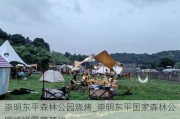 崇明东平森林公园烧烤_崇明东平国家森林公园烧烤露营基地