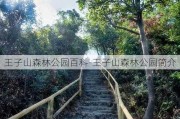 王子山森林公园百科-王子山森林公园简介