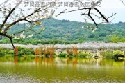 萝岗香雪门票,萝岗香雪公园桃花