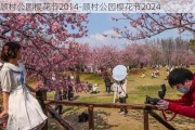 顾村公园樱花节2014-顾村公园樱花节2024