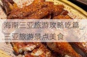 海南三亚旅游攻略吃篇_三亚旅游景点美食