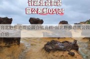 台北野柳地质公园介绍资料-台北野柳地质公园介绍