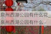 泉州西湖公园有什么花_泉州西湖公园有什么