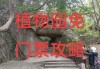 厦门万石植物园西门在哪-厦门万石植物园攻略南门进西门出什么