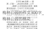 梅林公园的作文300字_梅林公园的桃花