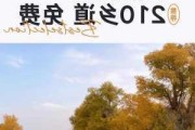 银川胡杨林旅游攻略_宁夏胡杨林旅游攻略