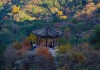 北京 近郊 景点-北京近郊旅游景点大全一日游