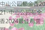 中山公园郁金香2021-中山公园郁金香2024最佳观赏期