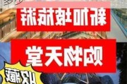 去新加坡旅游一次要多少钱_新加坡攻略旅游费用多少