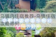 乌镇内住宿推荐-乌镇住宿攻略带狗