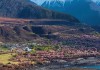 林芝景点海拔排名榜-林芝景点海拔排名