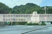 宜宾蜀南竹海旅游攻略景点必去-宜宾蜀南竹海旅游攻略自驾最近