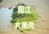 阳江海陵岛十里银滩旅游攻略最新-阳江海陵岛闸坡大角湾十里银滩度假村