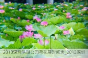 2013深圳洪湖公园荷花展时间表_2013深圳洪湖公园荷花展