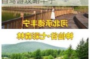 丰宁坝上草原旅游攻略,去坝上草原怎么玩,坝上草原自驾游攻略丰宁