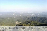 花都王子山森林公园怎么样_花都王子山一天游攻略