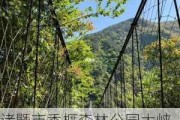 诸暨市香榧森林公园大峡谷有限公司招聘-诸暨市香榧森林公园