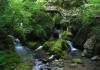 神农架旅游景点天气_神农架景区的天气