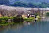 从到萝岗香雪公园,萝岗香雪公园好玩吗