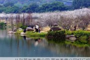 从到萝岗香雪公园,萝岗香雪公园好玩吗