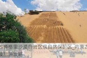 内蒙古腾格里沙漠自治区级自然保护区_内蒙古腾格里沙漠旅游攻略