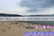 大梅沙海滨公园怎么样-大梅沙海滨公园好不好玩