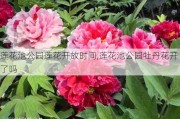 莲花池公园莲花开放时间,莲花池公园牡丹花开了吗