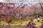 顾村公园樱花节简介_顾村公园 樱花节 2021