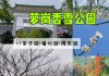 香雪公园游玩攻略-香雪公园闭园时间