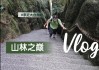 三清山自驾游攻略二日游-三清山自驾游攻略一日游