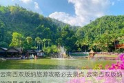 云南西双版纳旅游攻略必去景点,云南西双版纳旅游景点有哪些