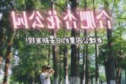 合肥杏花公园附近的宾馆,合肥杏花公园电话号码