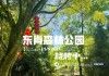 龙岩东肖森林公园门票多少钱,东肖森林公园要门票